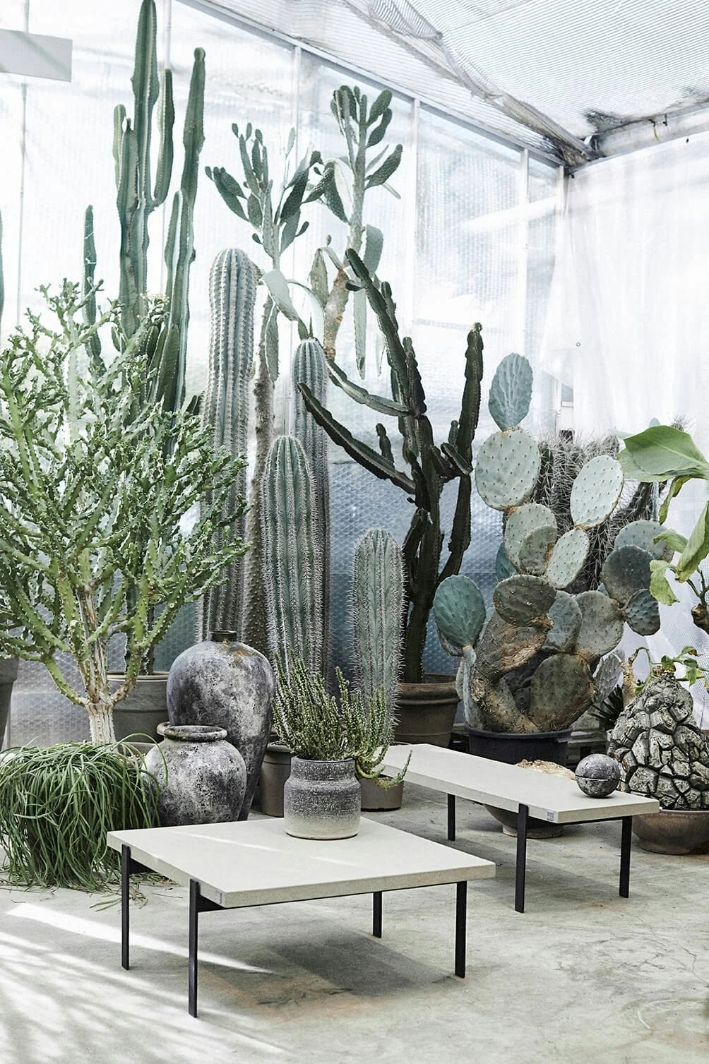 Muubs Echo Bonbonniere, 15 Cm – Bild 5