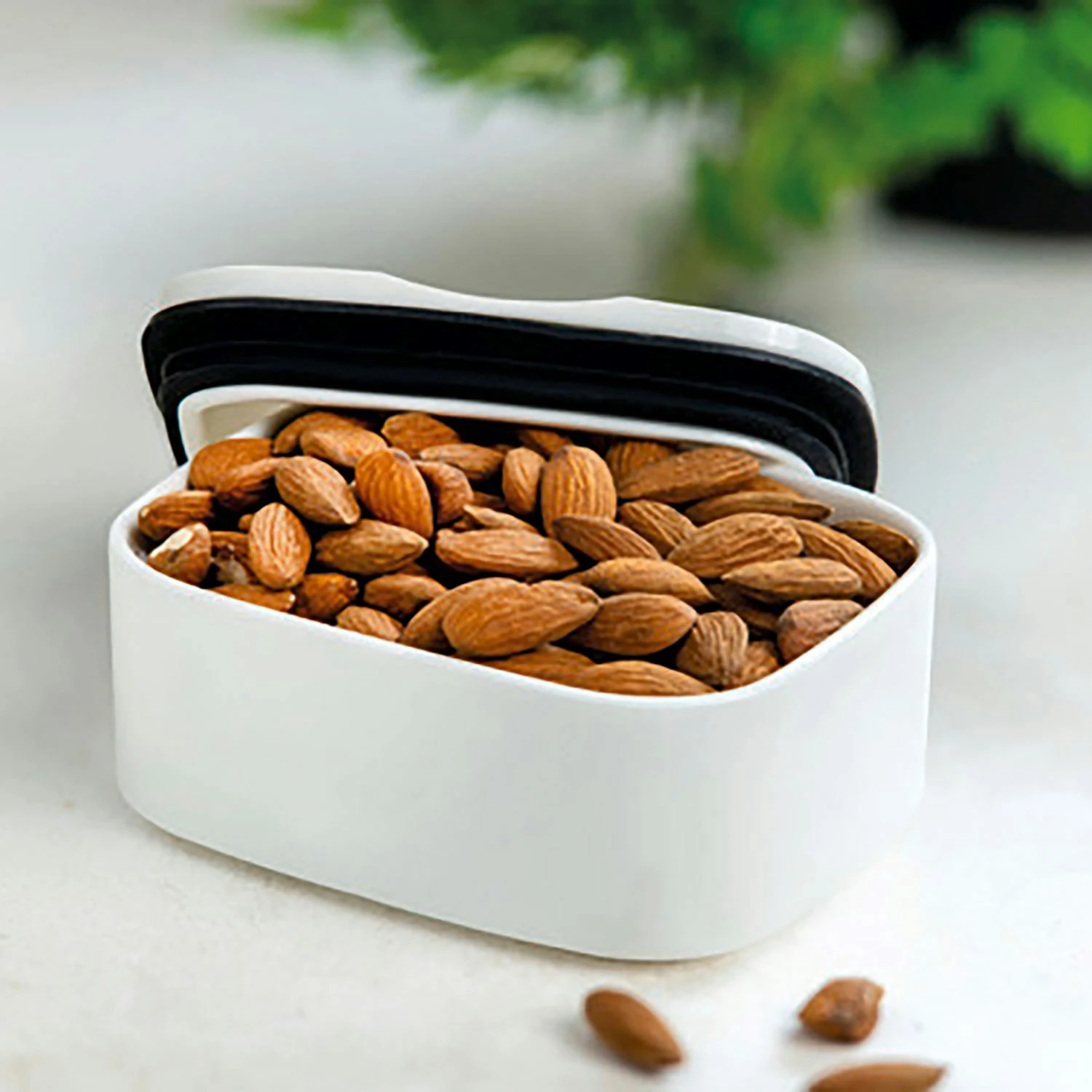 Villeroy & Boch ToGo&ToStay Brotdose Weiß, 13x10x6 Cm – Bild 2